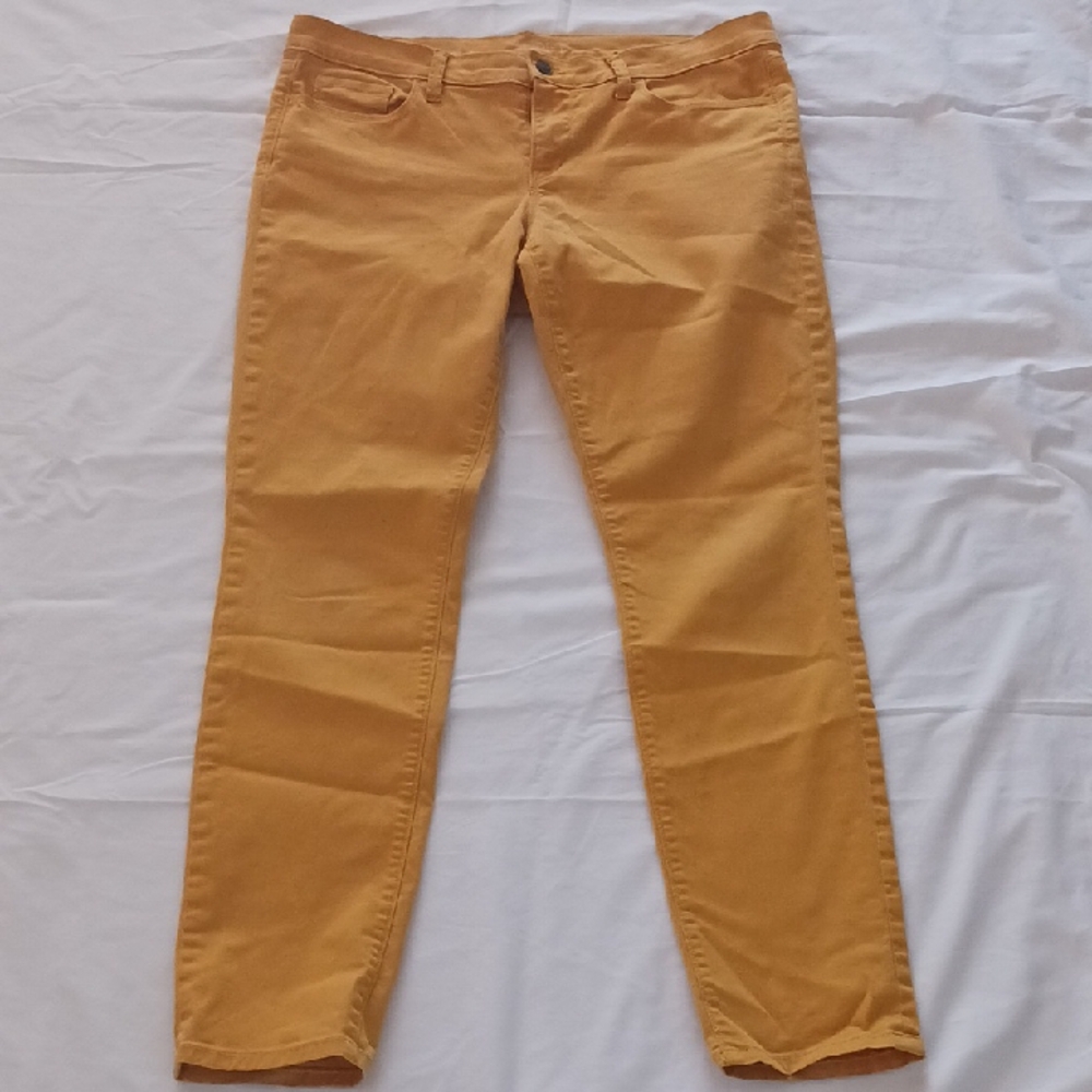 LOFT Golden Skinny Pants